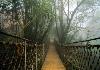 Hanging Bridge at Vythiri Resort